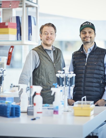 Les messages cryptiques de notre patrimoine génétique