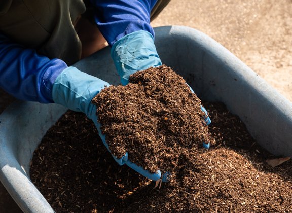 Phosphorus recycling