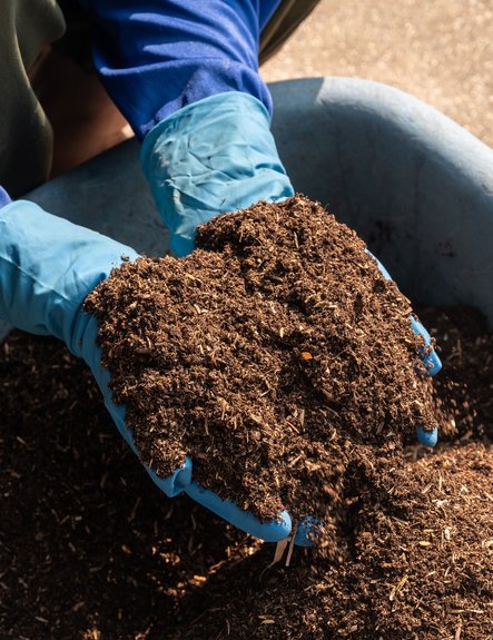 Phosphorus recycling