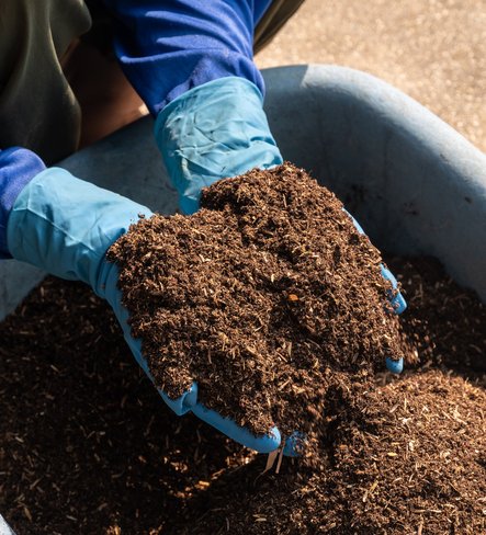 Phosphorus recycling