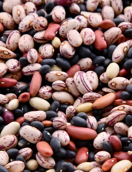 Alternative protein sources