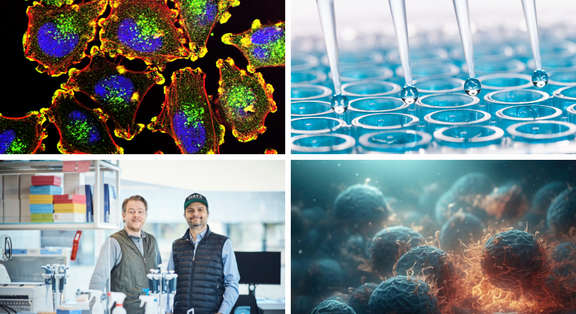 Mosaikbild Bildern zu Fluoreszierenden Zellen und dem Mikroskop, Pipetten über einer Reihe von Reagtenzläsern, zwei Forscher im Labor und Nahaufnahme von Zellen in einer 3D Darstellung