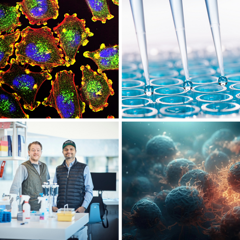Mosaic image of fluorescent cells and the microscope, pipettes over a row of reaction tubes, two researchers in the lab and close-up of cells in a 3D image