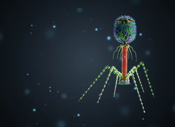 Bactériophages