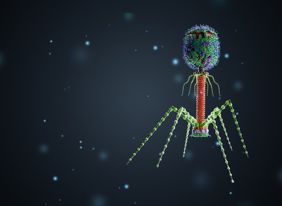 Bacteriophages