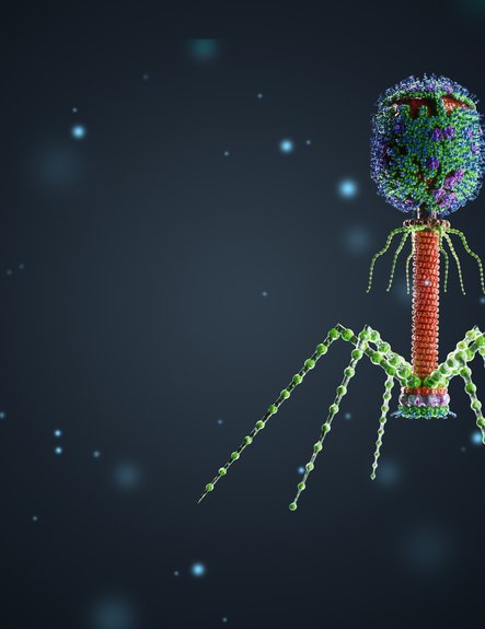 Bacteriophages
