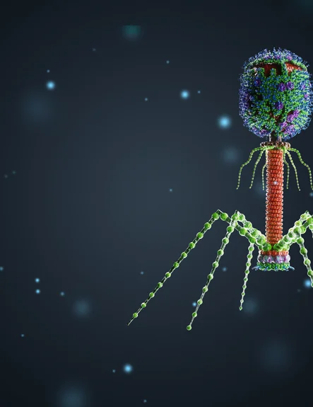 Bacteriophages