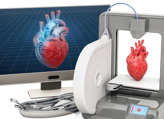 3D-Biodruck