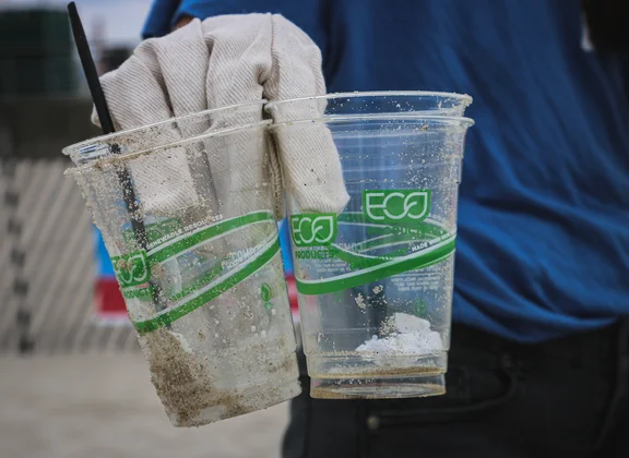 Bioplastique issu de déchets
