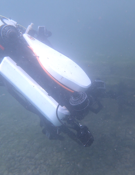 Underwater robots for shallow and dangerous waters