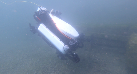 Underwater robots for shallow and dangerous waters