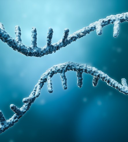 mRNA