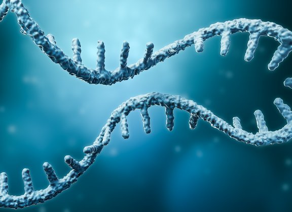 mRNA