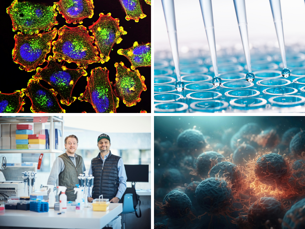 Mosaic image of fluorescent cells and the microscope, pipettes over a row of reaction tubes, two researchers in the lab and close-up of cells in a 3D image